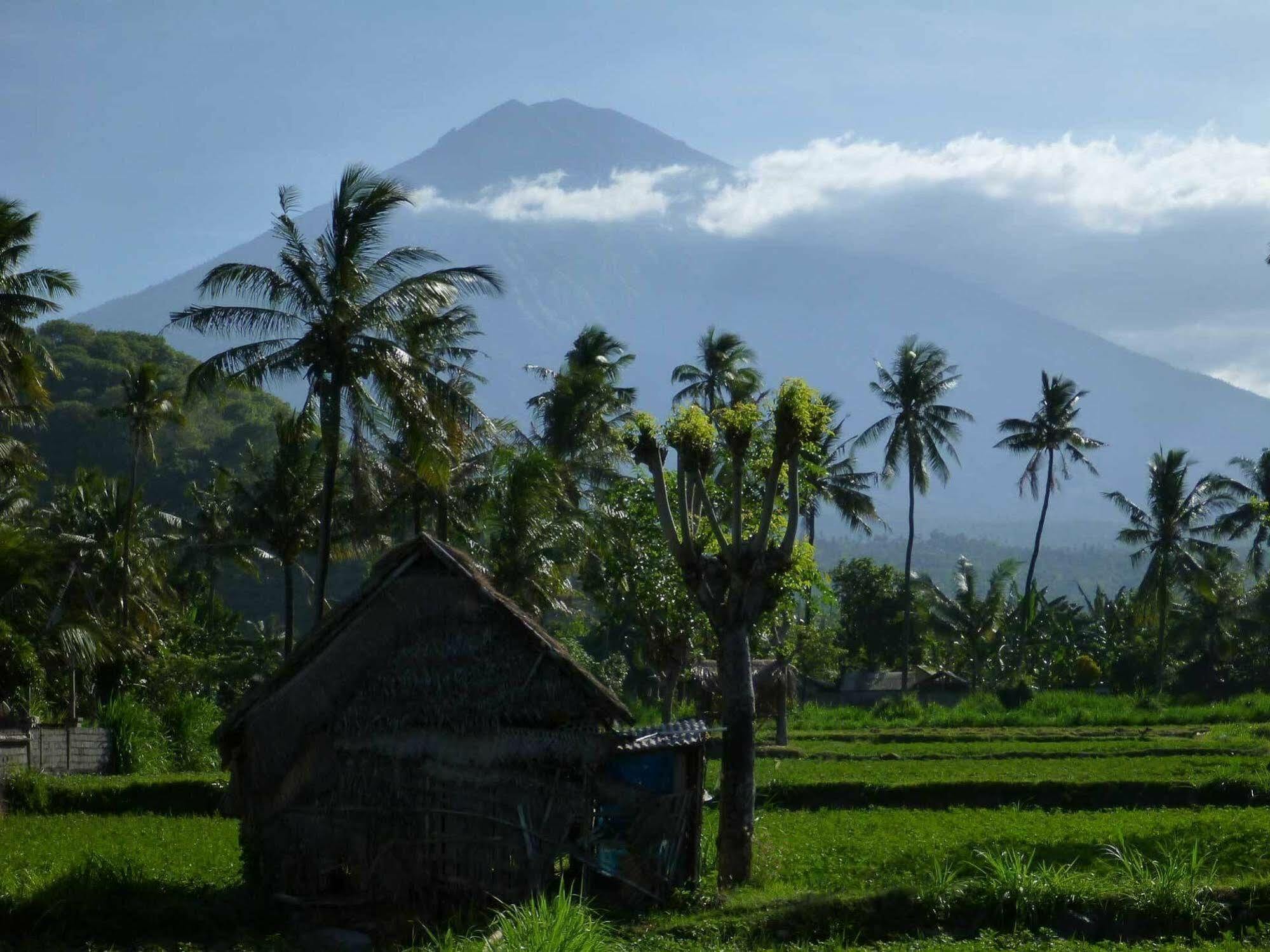 Bali Fab Dive Center Vandrarhem Amed Exteriör bild
